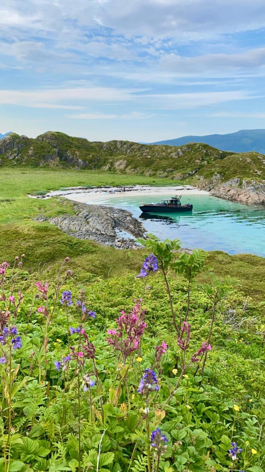 Lofoten And Vesteralen Kveldro Myrland Exterior foto